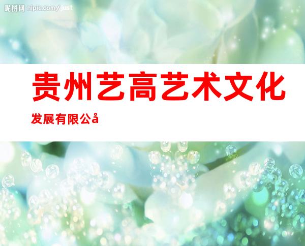 贵州艺高艺术文化发展有限公司