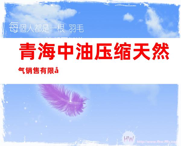 青海中油压缩天然气销售有限公司大通加气站
